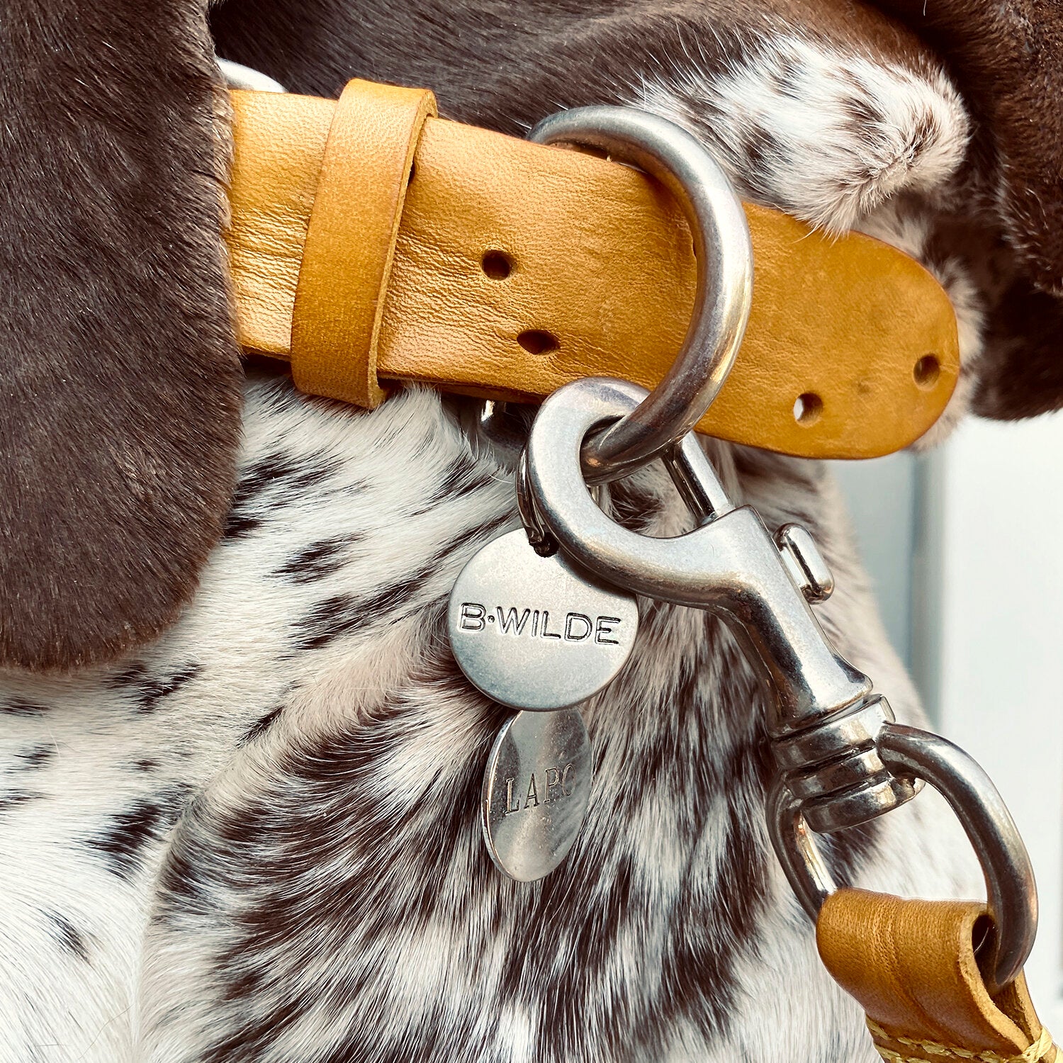 DOMINO Collar - TUSCAN YELLOW