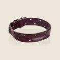 Load image into Gallery viewer, DOMINO Collar - BORDEAUX
