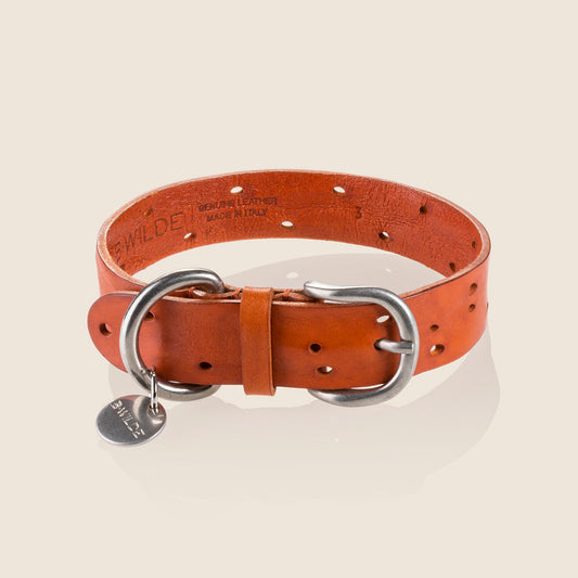 DOMINO Collar - TANGERINE