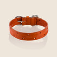 Load image into Gallery viewer, DOMINO Collar - TANGERINE
