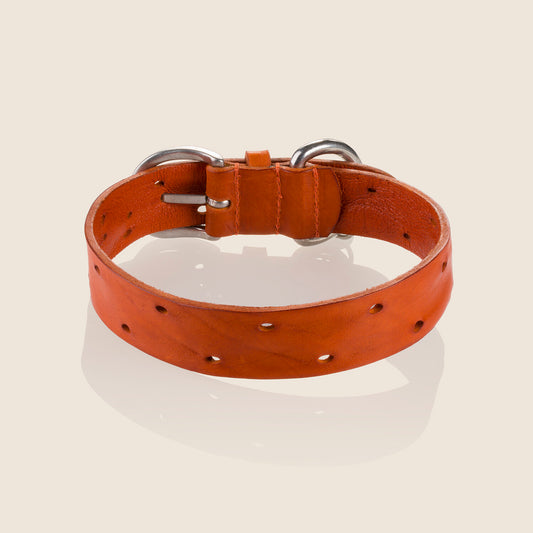 DOMINO Collar - TANGERINE