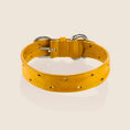 Load image into Gallery viewer, DOMINO Collar - TUSCAN YELLOW
