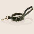 Load image into Gallery viewer, MILO leash - OLIVE
