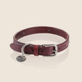 Load image into Gallery viewer, MILO collar - BORDEAUX
