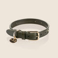 Load image into Gallery viewer, MILO collar - OLIVE

