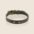 Load image into Gallery viewer, MILO collar - OLIVE
