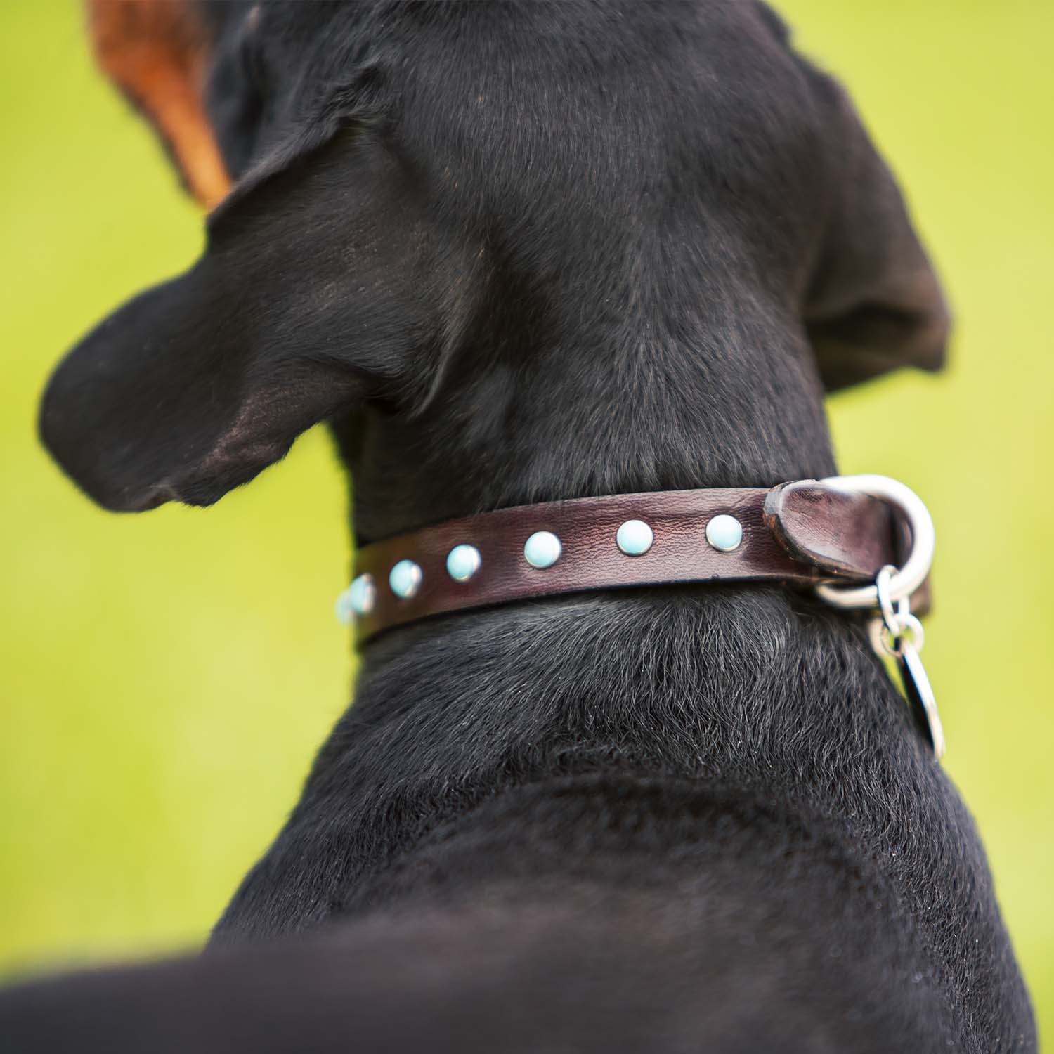 CABO collar - TURQUOISE