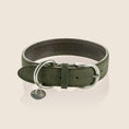 Load image into Gallery viewer, TANGO collar - OLIVE
