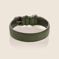 Load image into Gallery viewer, TANGO collar - OLIVE
